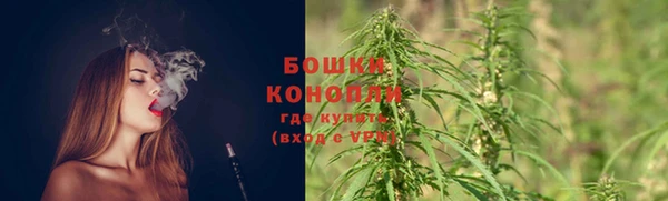 гидра Горно-Алтайск