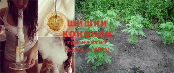 MESCALINE Горняк