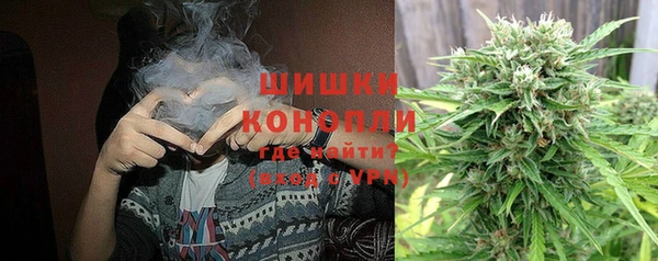 гидра Горно-Алтайск