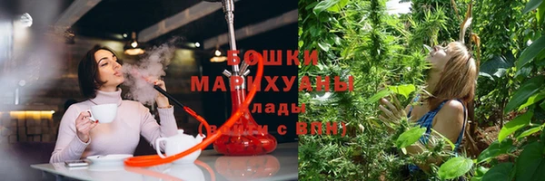 гидра Горно-Алтайск