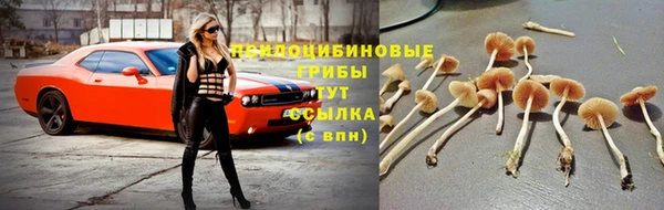 MESCALINE Горняк