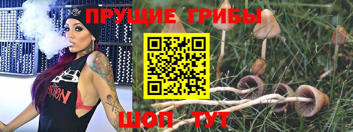 Псилоцибиновые грибы мухоморы  Вход с VPN  Железногорск  Галлюциногенные грибы GOLDEN TEACHER 